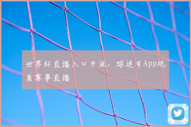 世界杯直播入口开放，球迷可App观看赛事直播