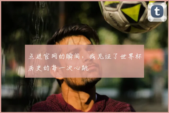 点进官网的瞬间，我见证了世界杯历史的每一次心跳