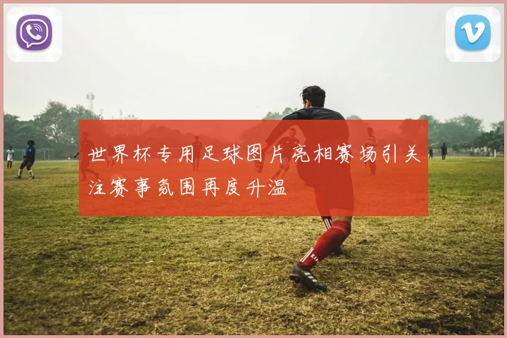 世界杯专用足球图片亮相赛场引关注赛事氛围再度升温